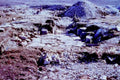 roman road excavation1980s 1990s A4 Photo Print