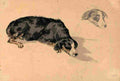 romer edward sleeping dog Art A4 Photo Print