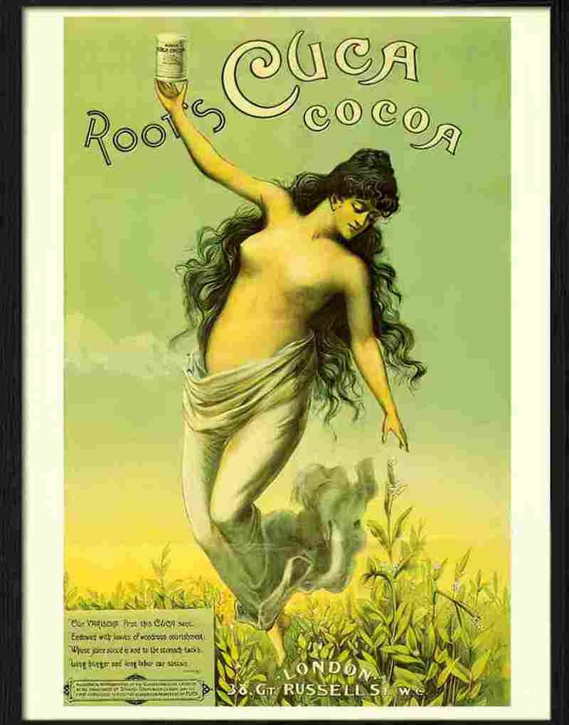 roots cocoa 1880s 2 Advert A4 Photo Print