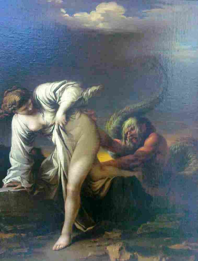 rosa glaucus and scylla Art A4 Photo Print