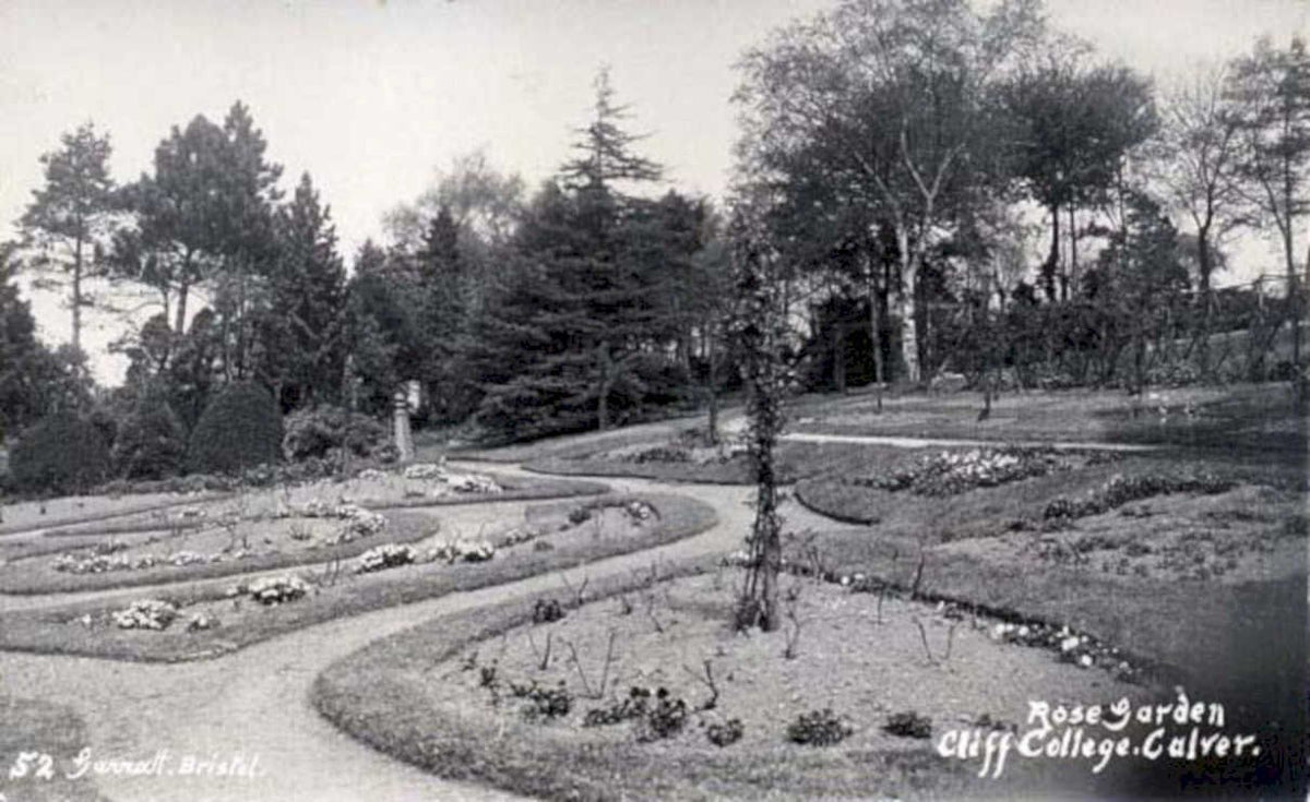 rose garden cliffVintage 1880s 1900s A4 Photo Print