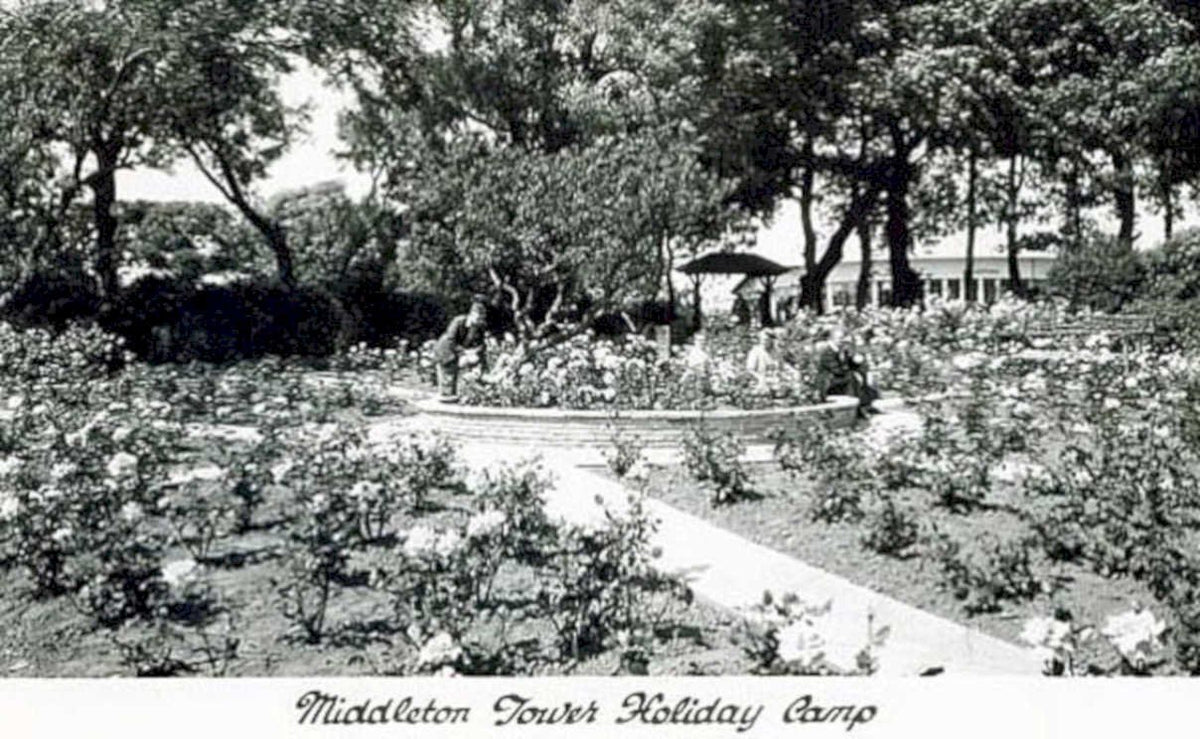 rose garden pathwayVintage 1880s 1900s A4 Photo Print