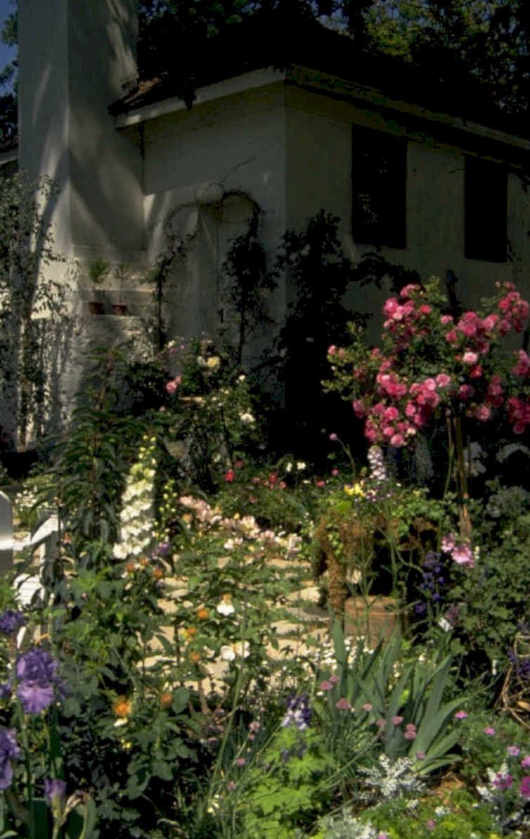 rose wildflowers courtyard 1980s 1990s A4 Photo Print