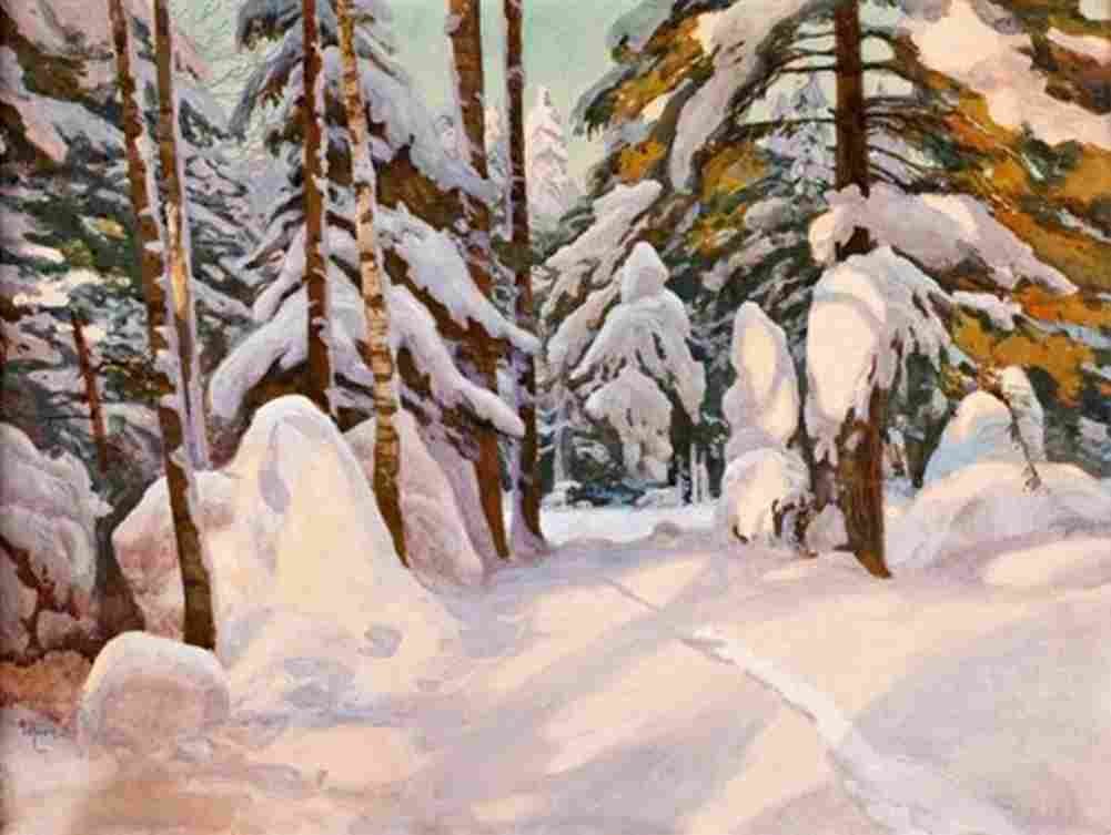 rosen von snow laiden pines Art A4 Photo Print