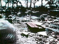 rowboat riverbank flood1980s 1990s A4 Photo Print