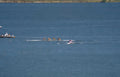 rowing boats blue Vintage A4 Photo Print