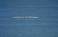 rowing team regatta Vintage A4 Photo Print