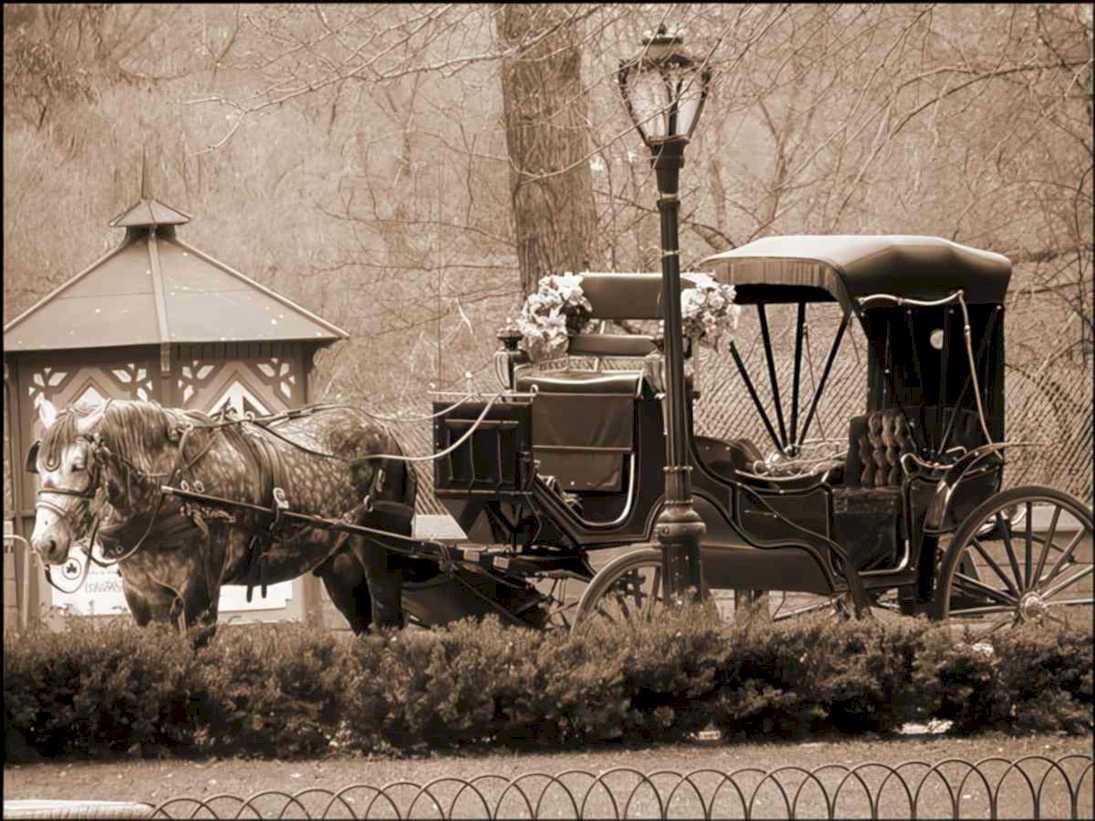 royal carriage scene Vintage world war A4 Photo Print