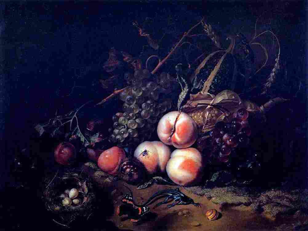 ru still life with fruit and insects Art A4 Photo Print