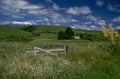 ruapehu meadow gate 1980s 1990s A4 Photo Print