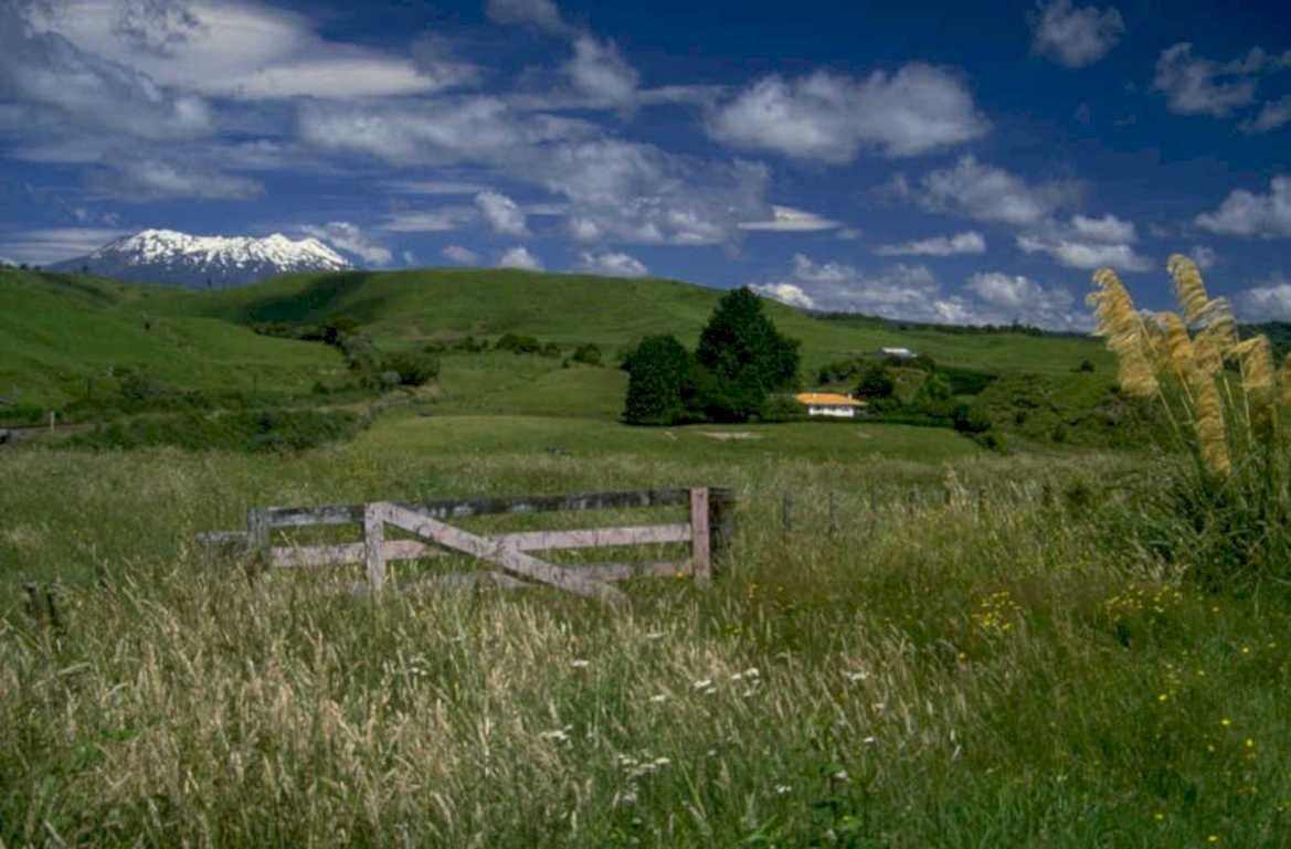 ruapehu meadow gate 1980s 1990s A4 Photo Print