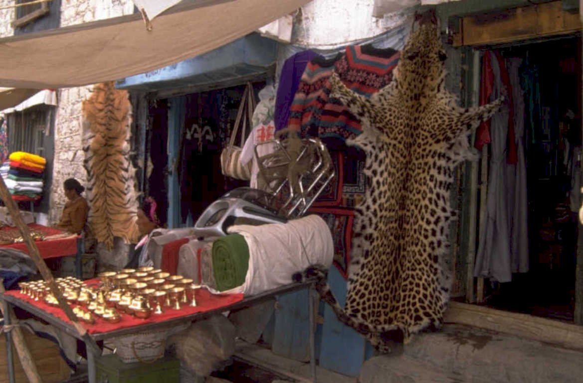 rug textiles market 1980s 1990s A4 Photo Print