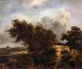 rui The Thicket Path in the Haarlem Dunes Art A4 Photo Print