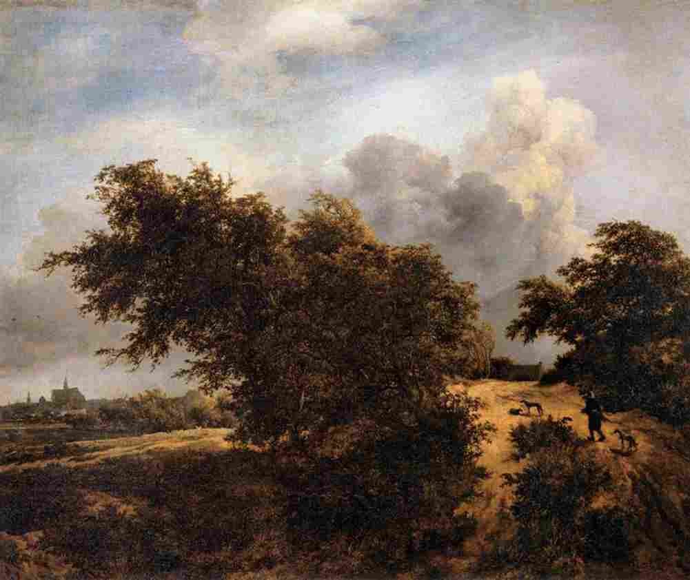 rui The Thicket Path in the Haarlem Dunes Art A4 Photo Print