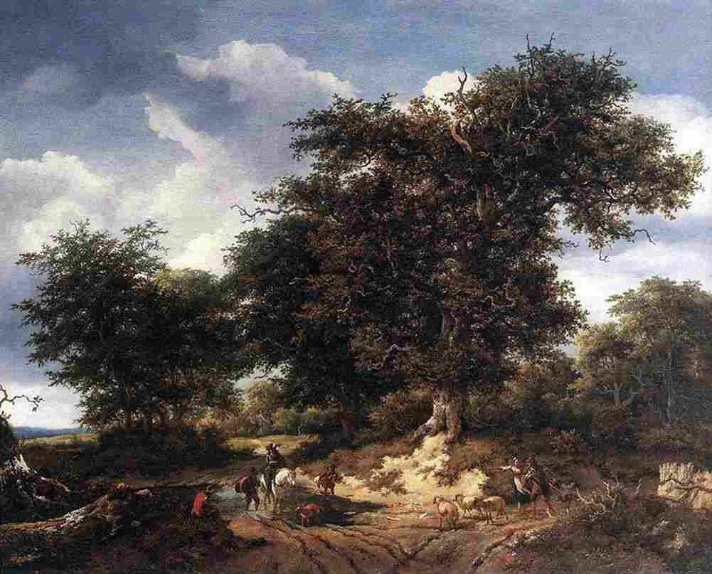 rui the grreat oak Art A4 Photo Print