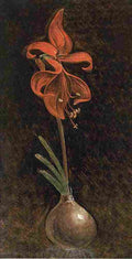 rung Amaryllis Formosissima Art A4 Photo Print