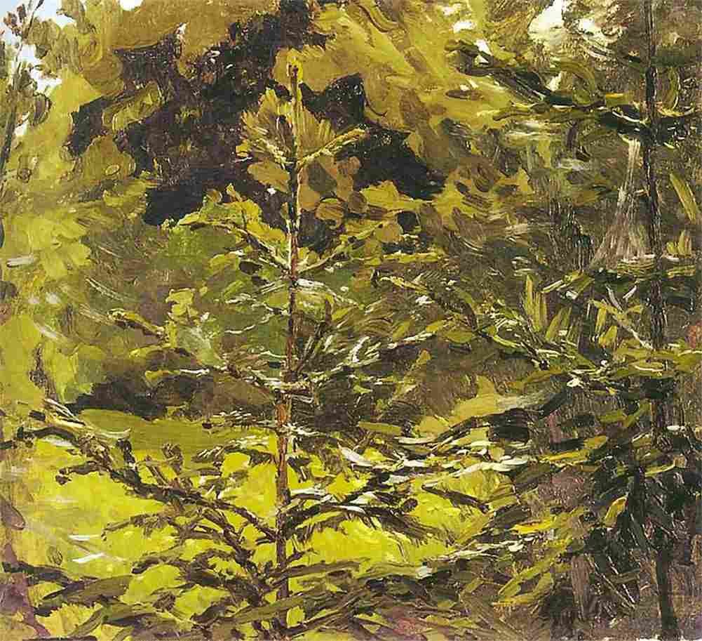 rusz A Portion of the Forest Art A4 Photo Print
