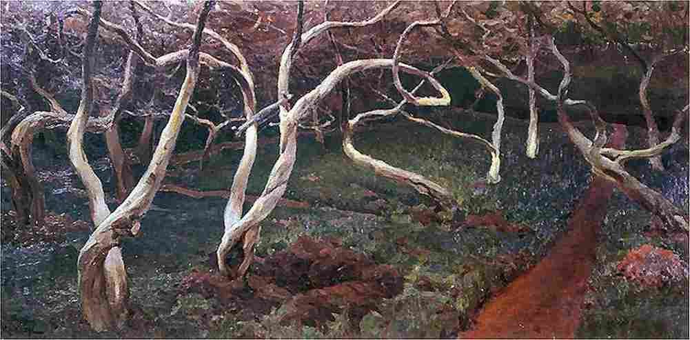 rusz a Old Apple Trees Art A4 Photo Print