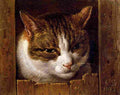 saftleven cornelis cat peeping through a fence Art A4 Photo Print