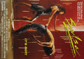 salsa poster 01 A4 Photo Print