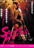 samurai princess  01 film star poster A4 Photo Print