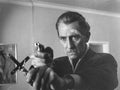 satanic rites of dracula 06 film star poster A4 Photo Print
