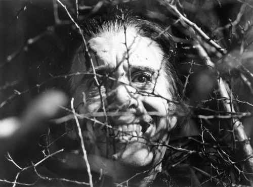 satanic rites of dracula 08 film star poster A4 Photo Print