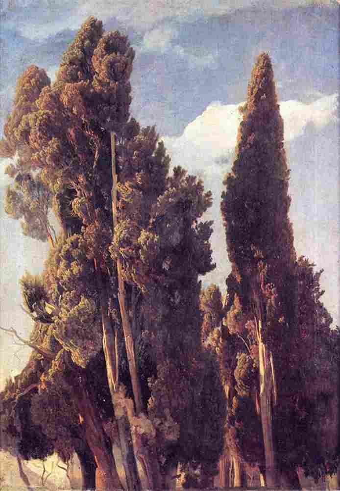 schirmer cypresses Art A4 Photo Print