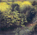 schirmer meadow with creek Art A4 Photo Print