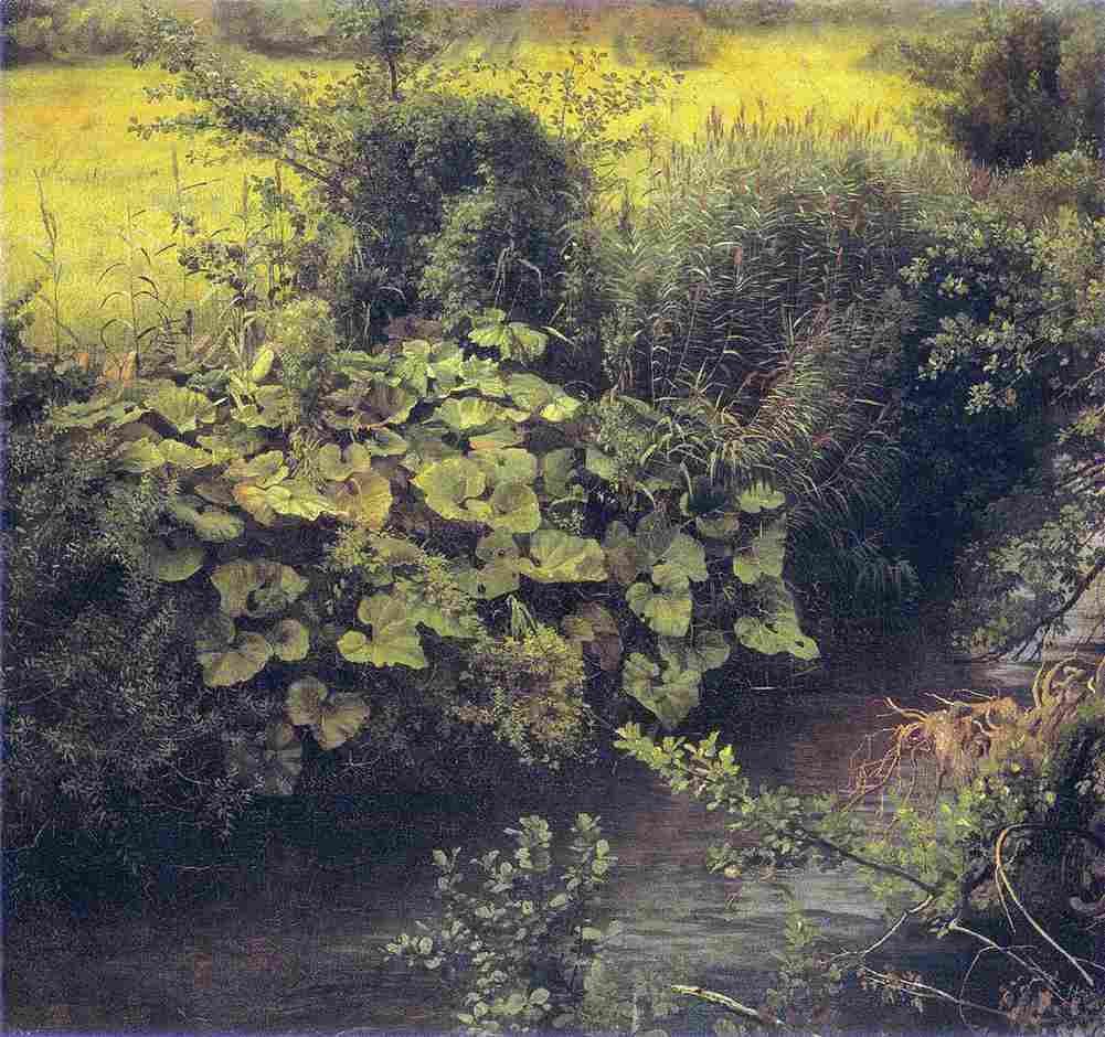 schirmer meadow with creek Art A4 Photo Print