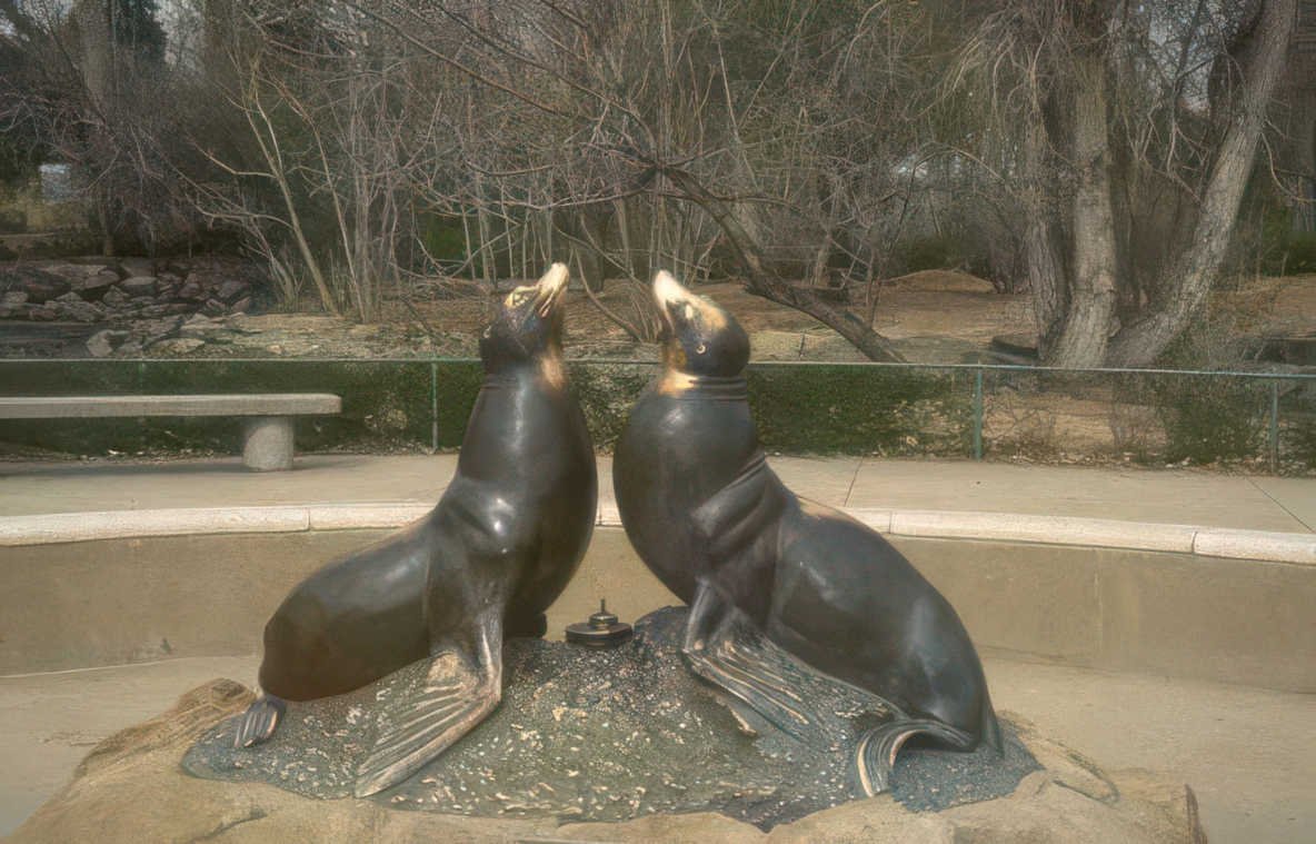 seal statue winter Vintage A4 Photo Print