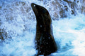 seal waterfall blue1980s 1990s A4 Photo Print