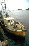 seame boat harbor Vintage A4 Photo Print