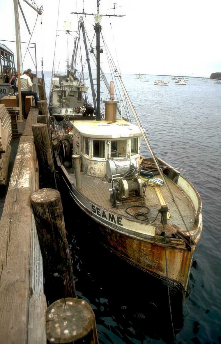 seame trawler maine Vintage A4 Photo Print