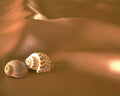 seashells gold fabric1980s 1990s A4 Photo Print