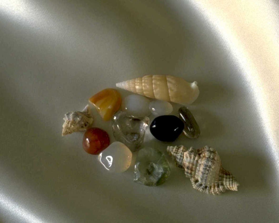 seashells stones beach1980s 1990s A4 Photo Print