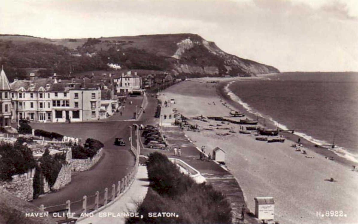 seaton haven cliffVintage 1880s 1900s A4 Photo Print