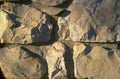 sedimentary rock fossils 1980s 1990s A4 Photo Print