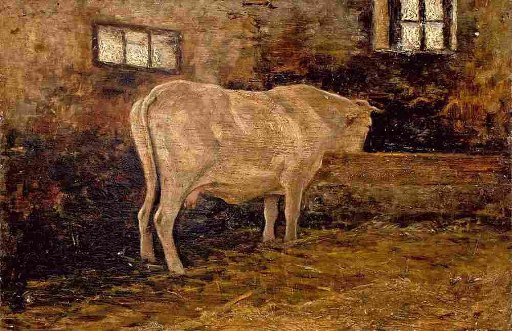 segant Cow in the Barn Art A4 Photo Print
