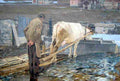 segant When the Snow Melts Art A4 Photo Print