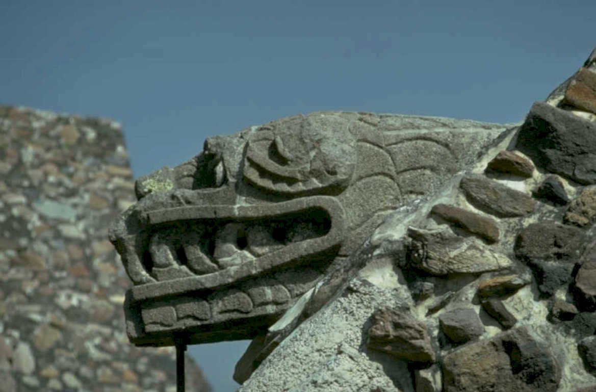 serpent head sculpture 1980s 1990s A4 Photo Print