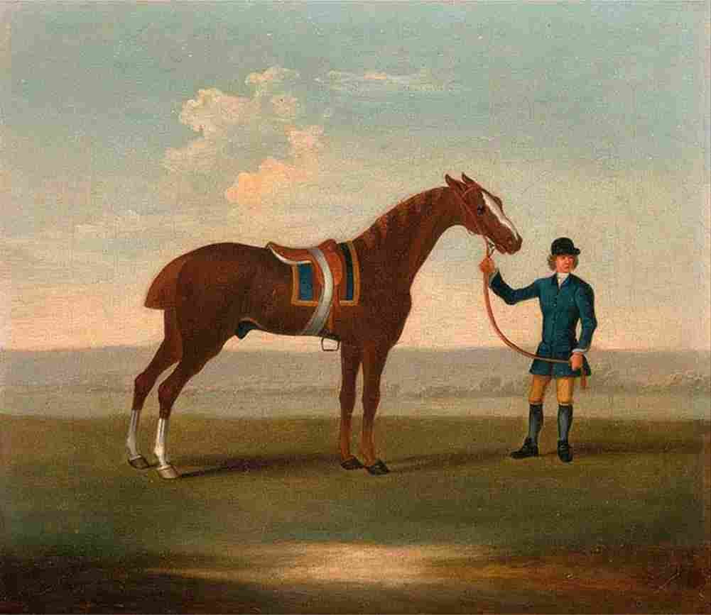 seymour Chestnut Horse Art A4 Photo Print
