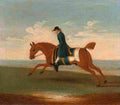 seymour Chestnut Racehorse Exercised by a Trainer in a Blue Coat Art A4 Photo Print