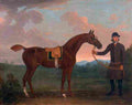 seymour Old Fox held by a Groom Art A4 Photo Print