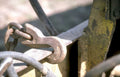 shackle chain copper Vintage A4 Photo Print