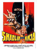 shaolin vs ninja  01 film star poster A4 Photo Print