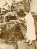 shark tank marine Vintage world war A4 Photo Print