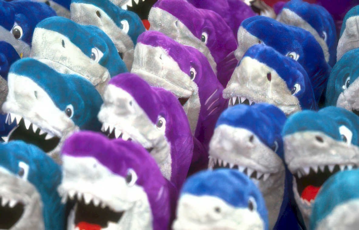 sharkplushdisplay bluepurple retail Vintage A4 Photo Print