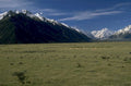 sheep valley mountains 1980s 1990s A4 Photo Print