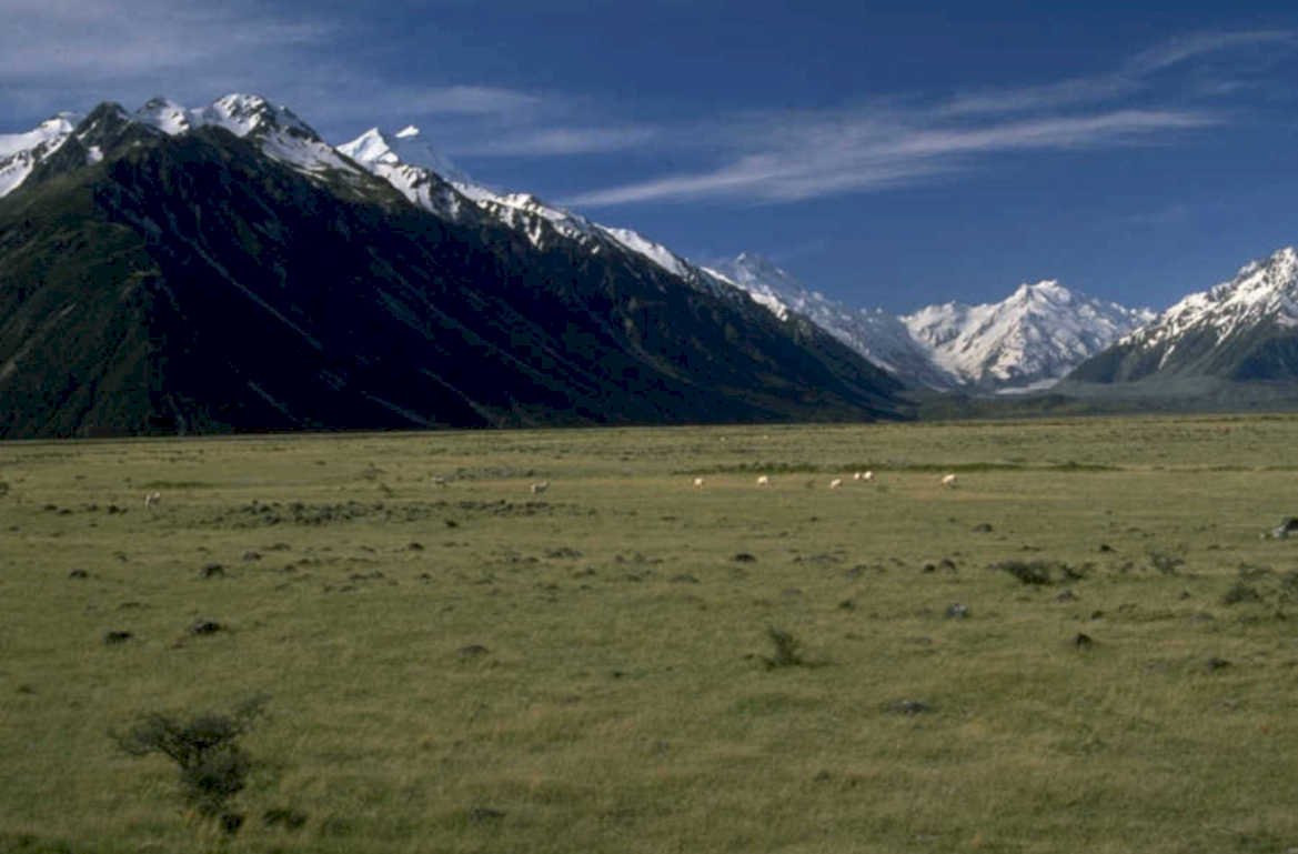 sheep valley mountains 1980s 1990s A4 Photo Print